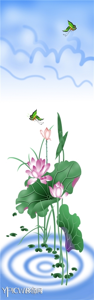 荷花 蝴蝶