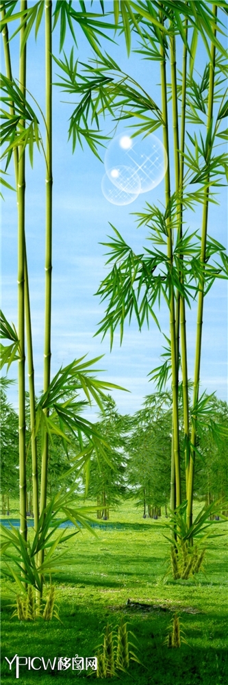 竹林