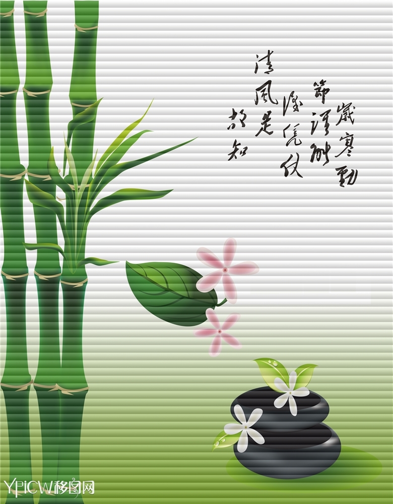 > 竹子 石头