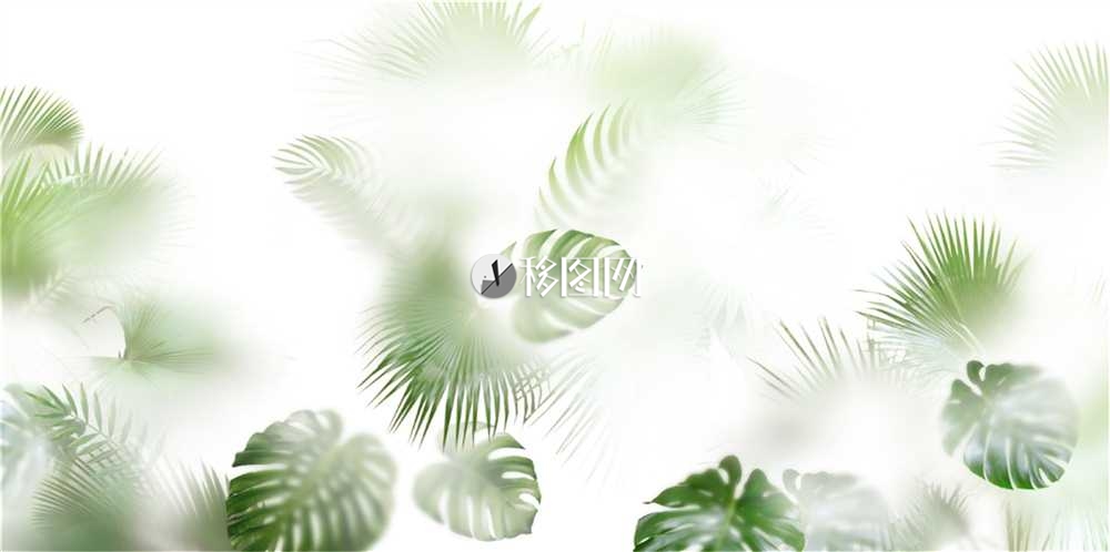 朦胧龟背竹装饰画