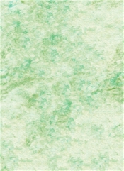 机理 (13)