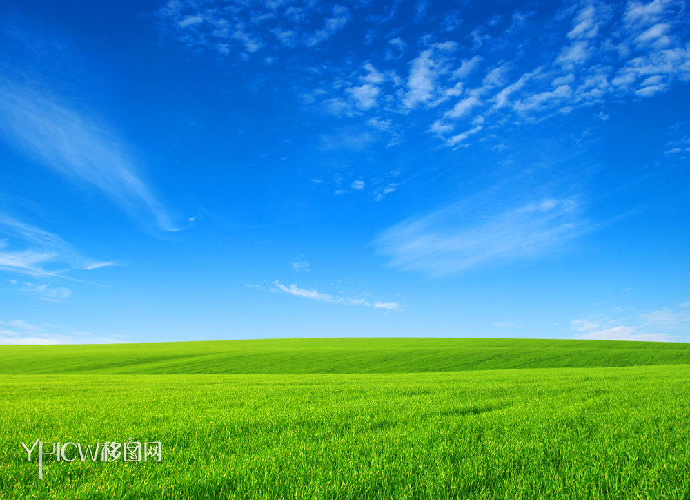 麦田自然风景景观小麦麦穗美景46