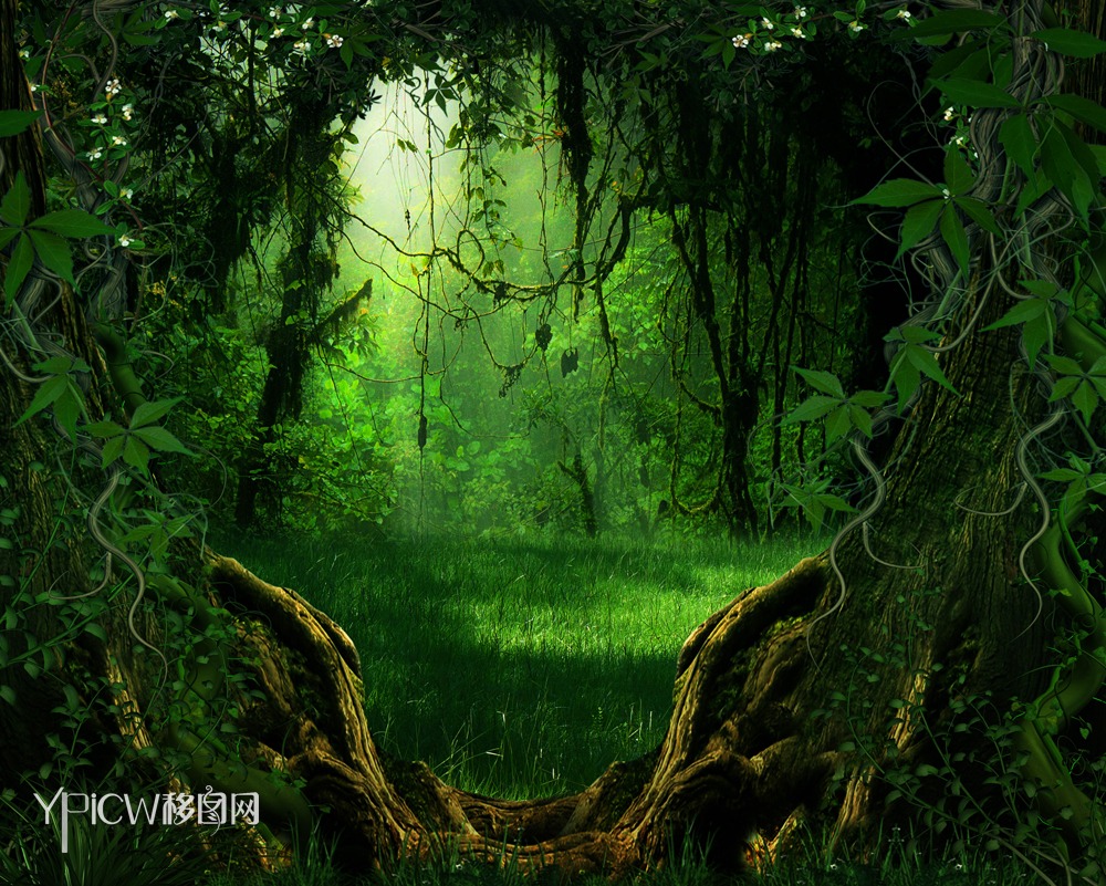 神秘的魔法森林背景54