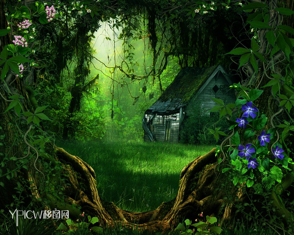 神秘的魔法森林背景56