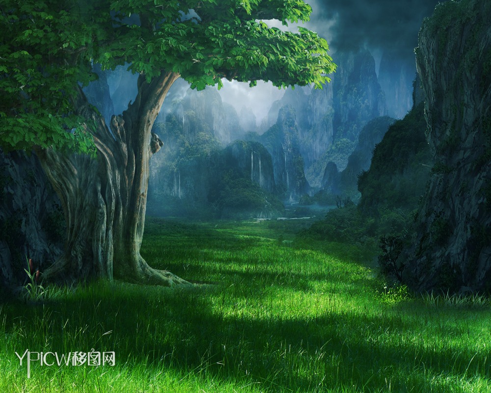 神秘的魔法森林背景58