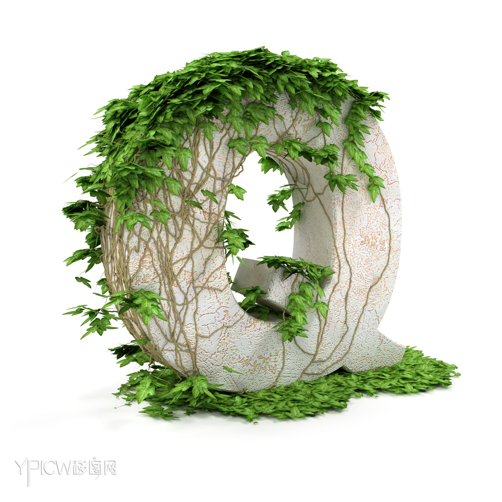 布满藤蔓植物藤条的立体英文字母数字27