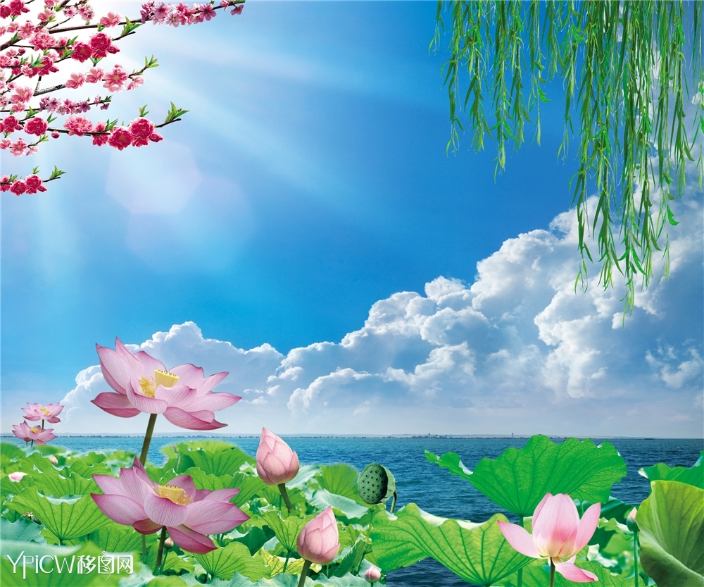 极致美景装饰图_荷花图片_柳树素材_简约背景墙 _背景墙_装饰图库_移